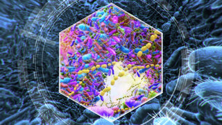 The Microbiome: Why Gut Health Is the Foundation of Hormone Balance, Immunity, and Whole-Body Wellness