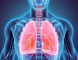 Upper and Lower Respiratory