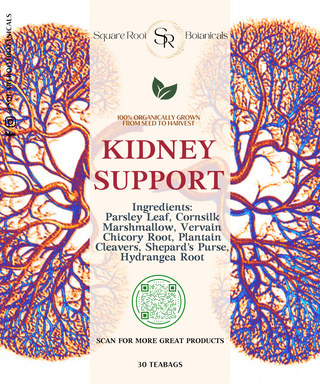 Kidney Strengthening Bundle